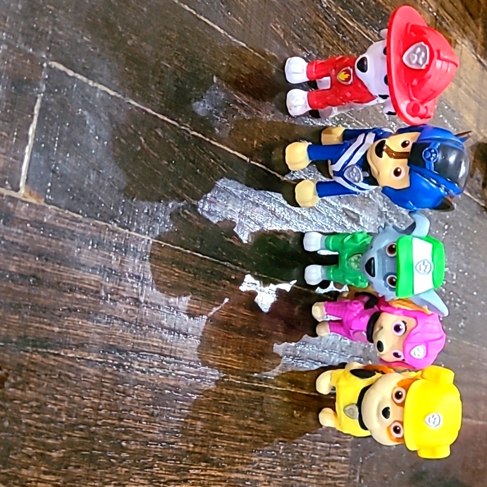 Paw Patrol Characters